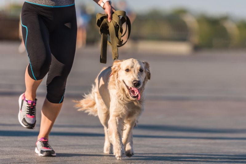 exercising with your pet