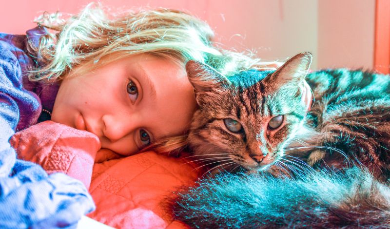 little girl with cat