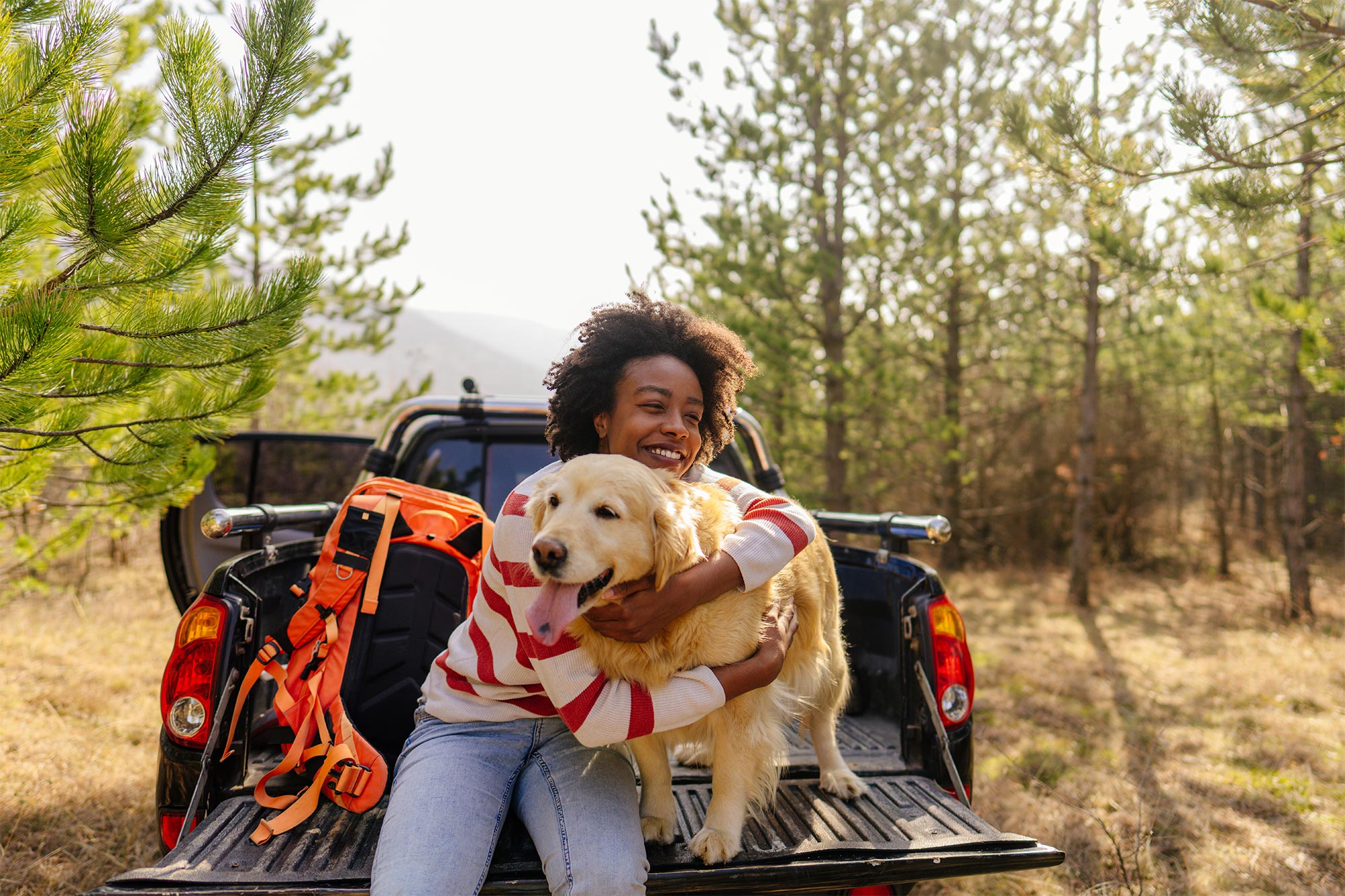 Pet traveling with owner