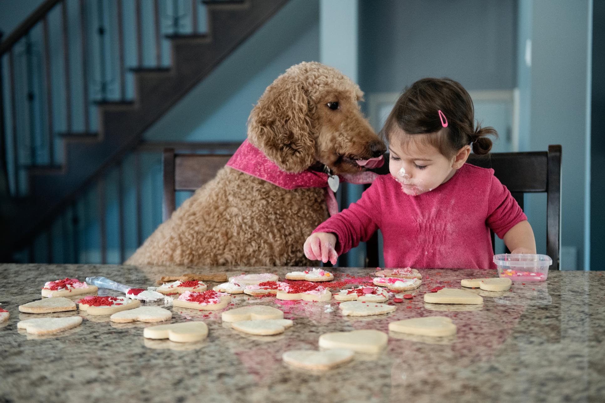 Girl making cookies with her dog.