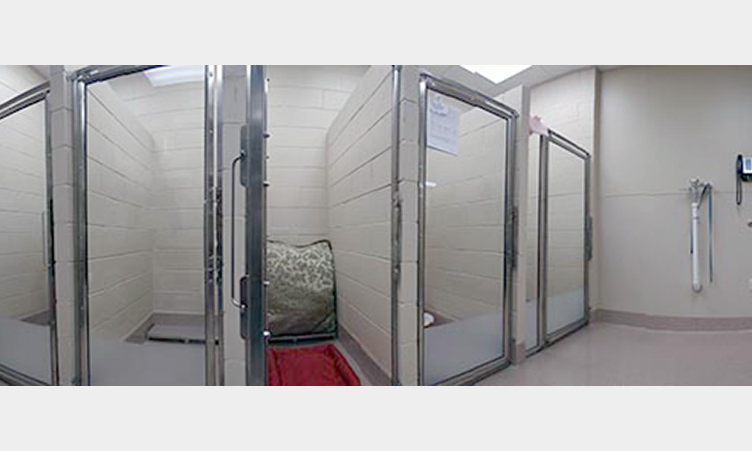 Canine Metro Suites