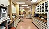 True Care Veterinary Hospital