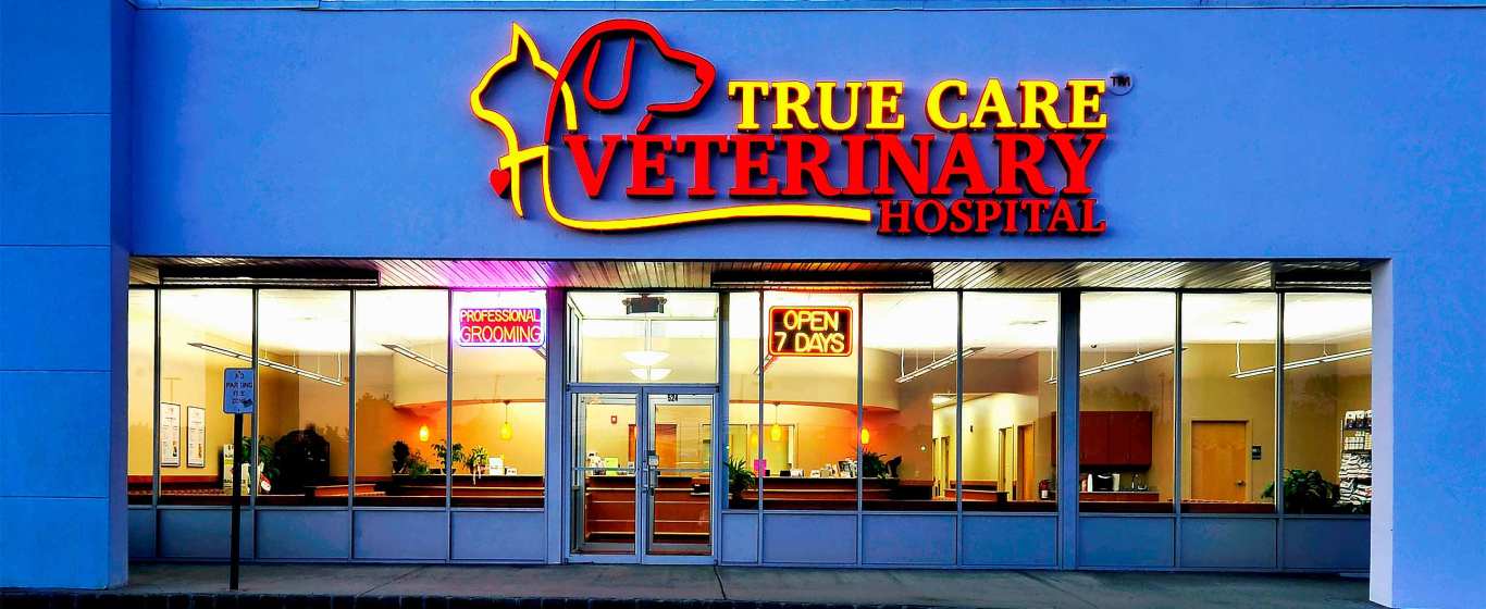 Veterinarian in Howell, NJ  True Care Veterinary Hospital